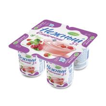 Кампина Нежный 5% 100гр. Малина земляника (24) 